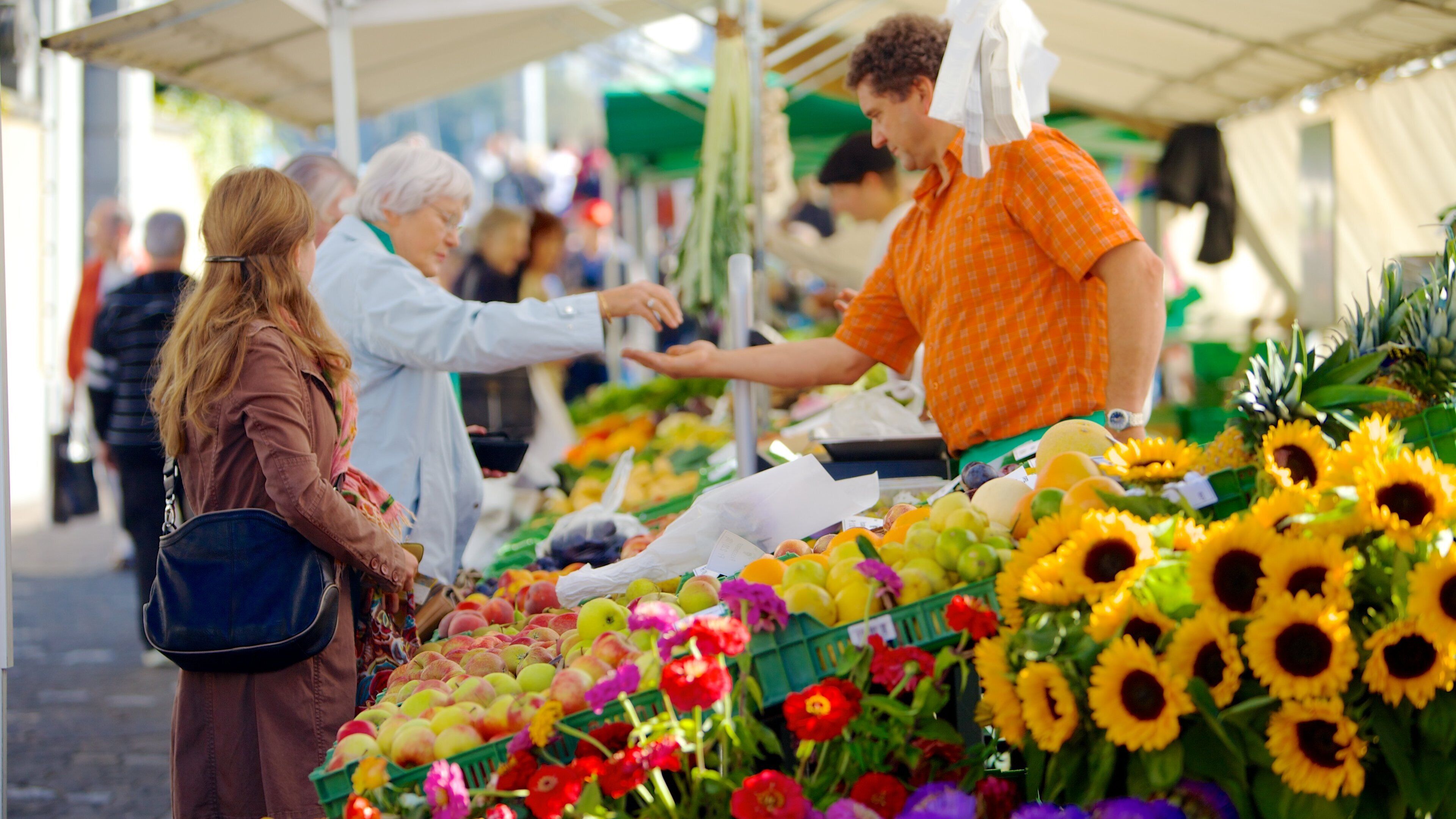 Old Town Lucerne showing a city, markets and flowers