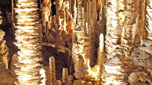 Stalagmites aven armand Camera location 44° 13′ 19.81″ N, 3° 21′ 21.99″ E View this and other nearby images on: OpenStreetMap - Google Earth 44.222169; 3.356108