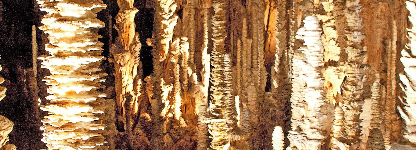 Stalagmites aven armand Camera location 44° 13′ 19.81″ N, 3° 21′ 21.99″ E View this and other nearby images on: OpenStreetMap - Google Earth 44.222169; 3.356108