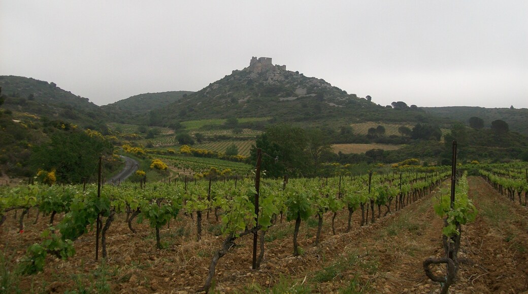 This building is indexed in the Base Mérimée, a database of architectural heritage maintained by the French Ministry of Culture, under the reference PA00102913 .