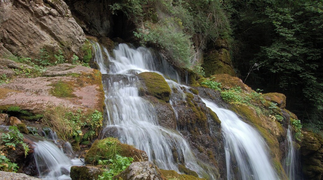 Fonts del Llobregat, Bagà, Berguedà, Catalunya, Espanya
