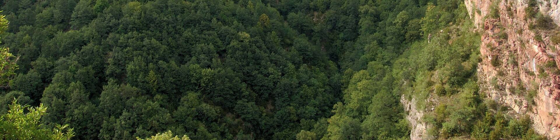 Castellar de nÂŽHug