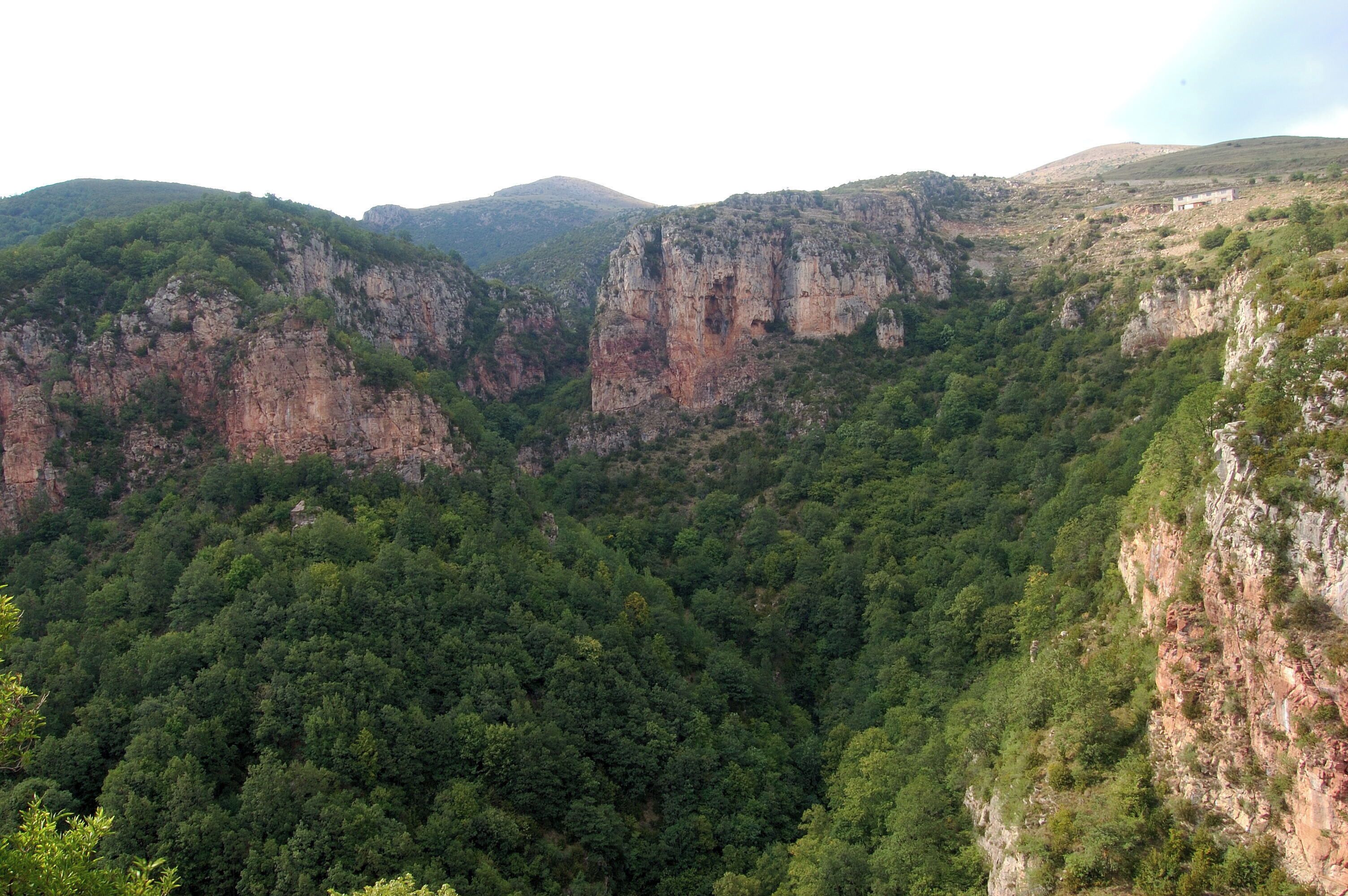 A mountainous landscape with dense forests and rocky cliffs.