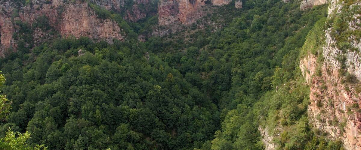 A mountainous landscape with dense forests and rocky cliffs.
