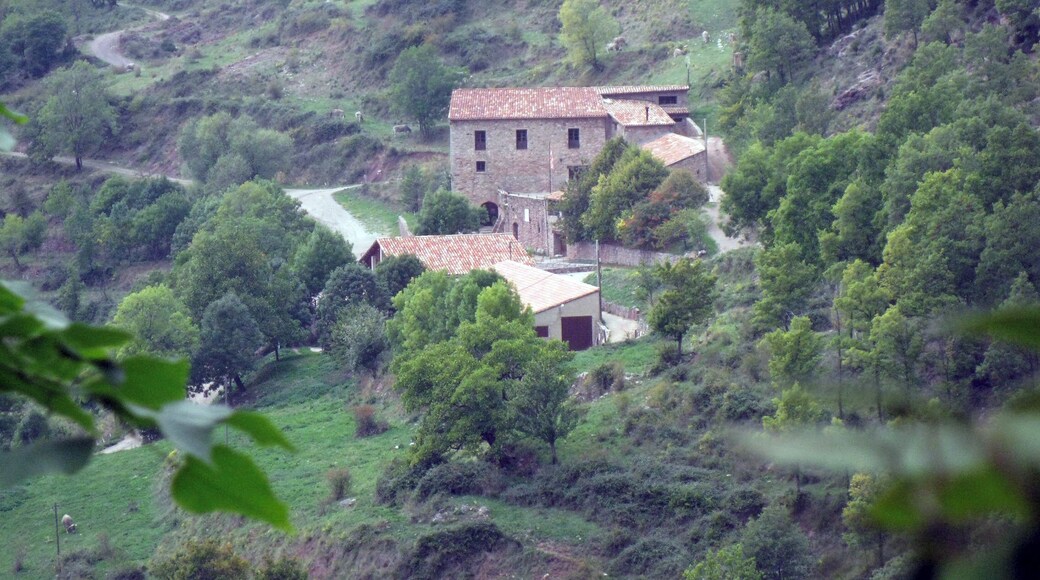 Ca l'Orriols (Castellar de n'Hug)