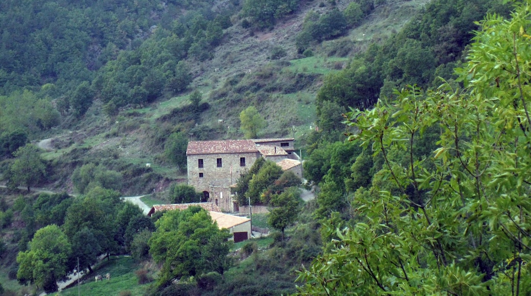 Ca l'Orriols (Castellar de n'Hug)