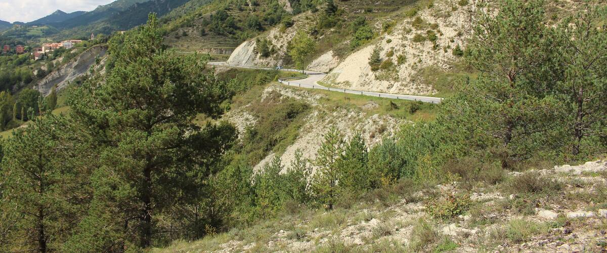 A winding road through a mountainous landscape with dense green forests and rocky terrain.