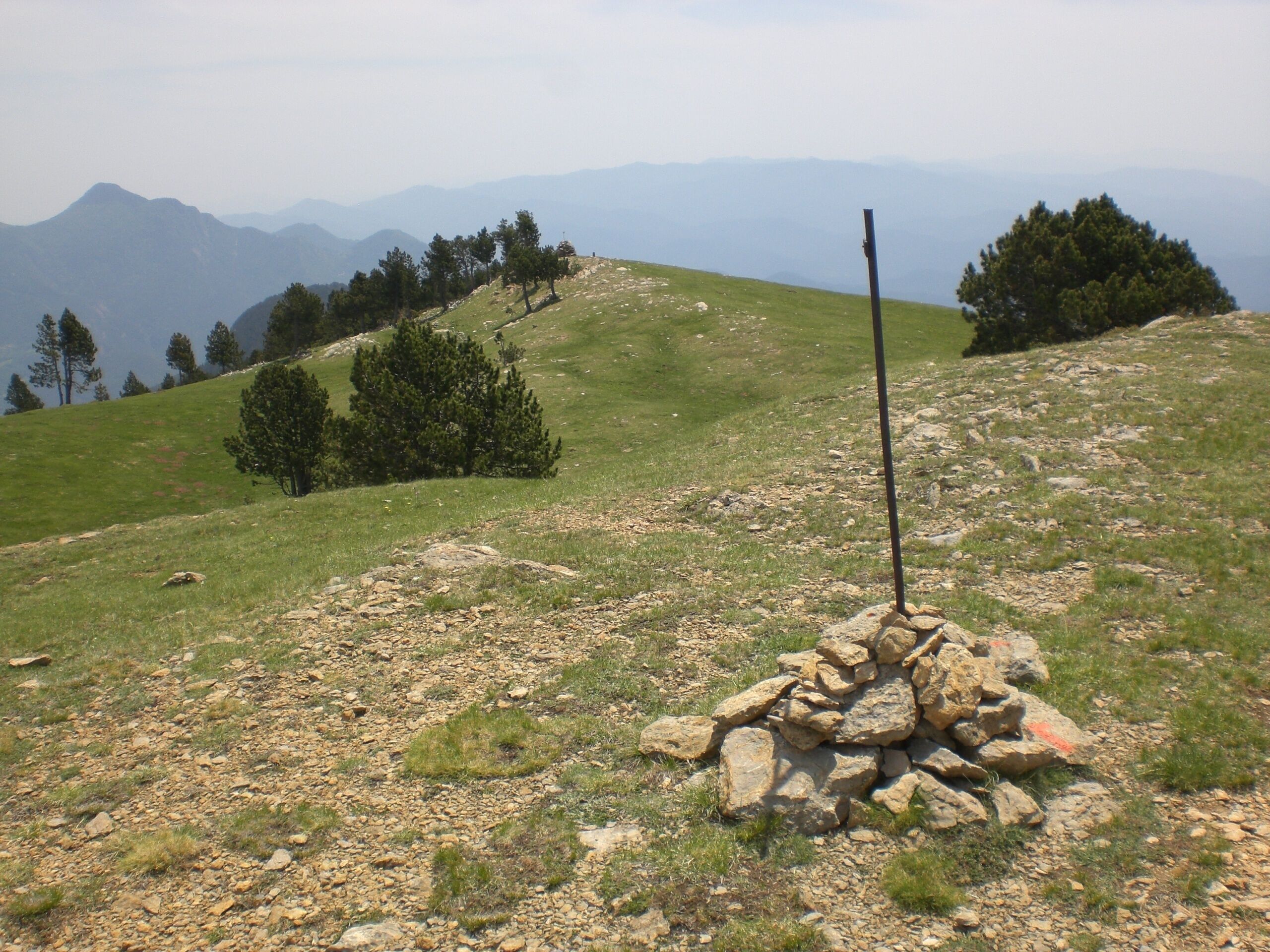 Cim de la Covil, Serra de Montgrony (juny 2012)
