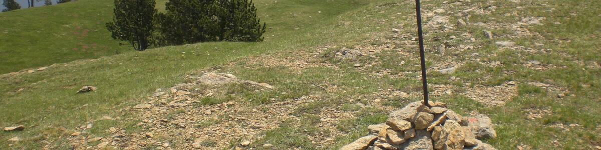 Cim de la Covil, Serra de Montgrony (juny 2012)