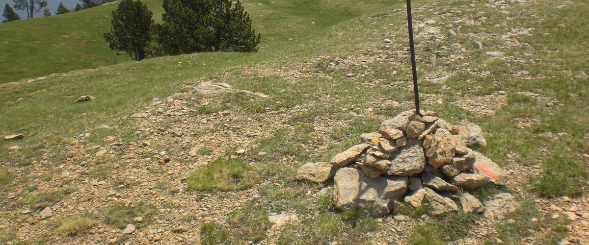 Cim de la Covil, Serra de Montgrony (juny 2012)