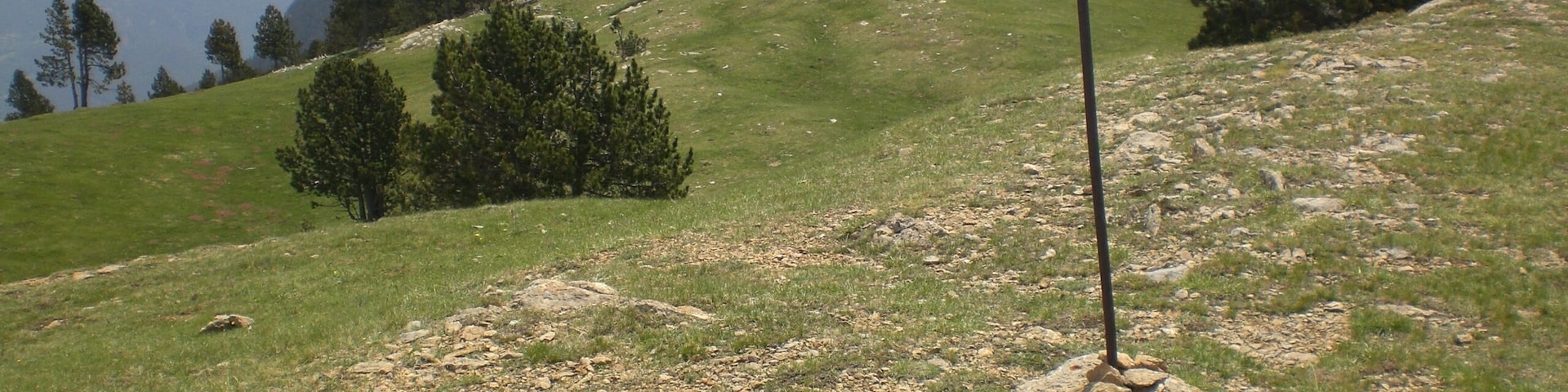 Cim de la Covil, Serra de Montgrony (juny 2012)