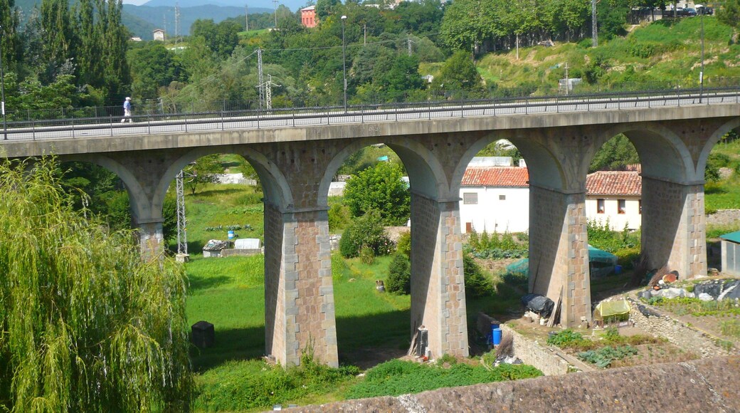 Pont Nou de Sant Joan de les Abadesses. (Sant Joan de les Abadesses).
