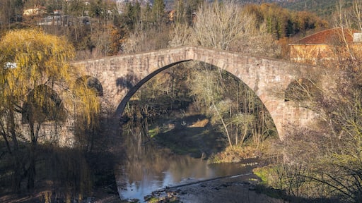 Sant Joan de Les Abadesses
