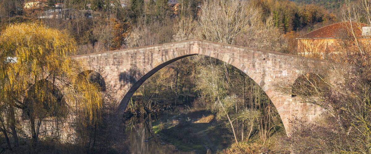 A stone bridge over a river, surrounded by trees and buildings.