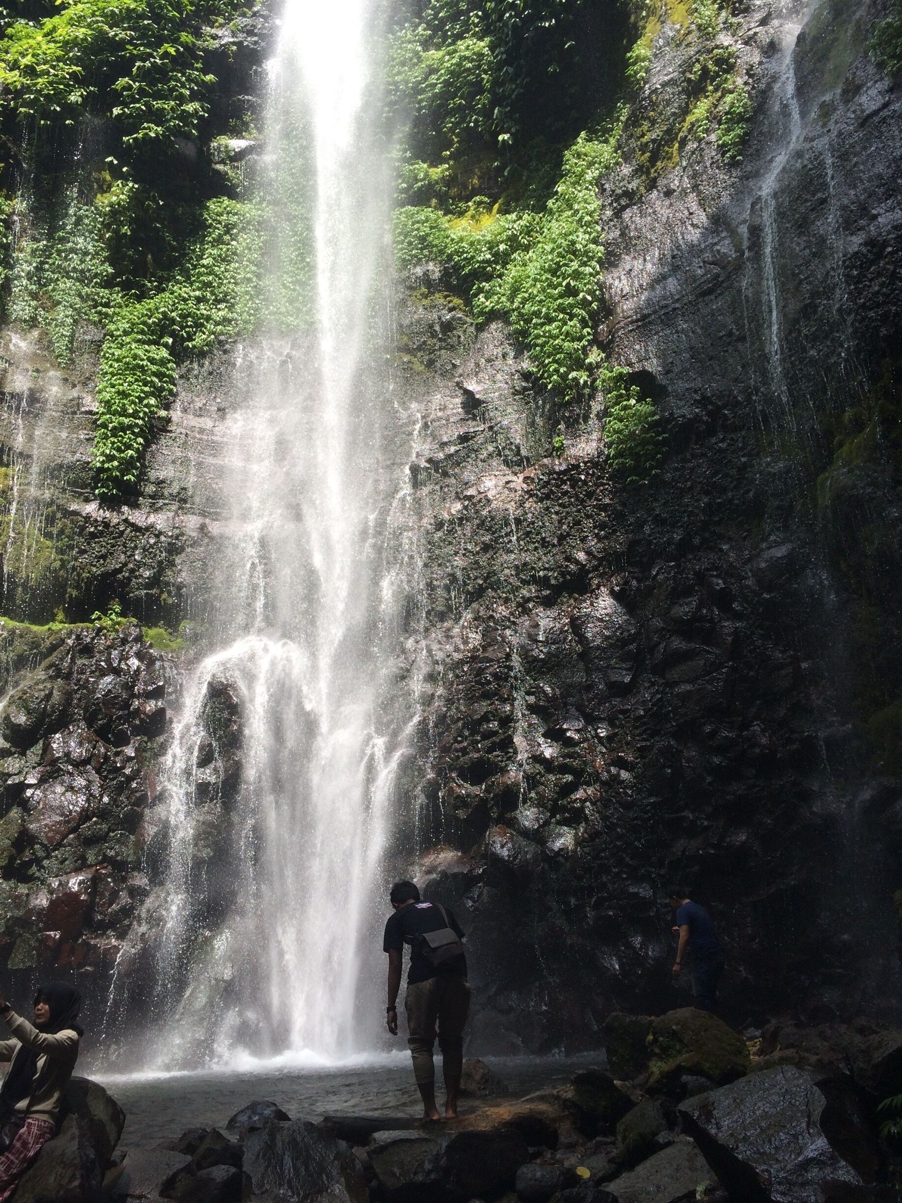 A waterfall cascading down a rocky cliff surrounded by lush greenery.