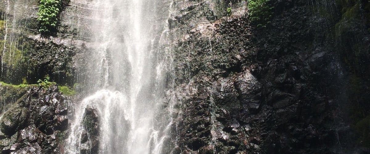 A waterfall cascading down a rocky cliff surrounded by lush greenery.