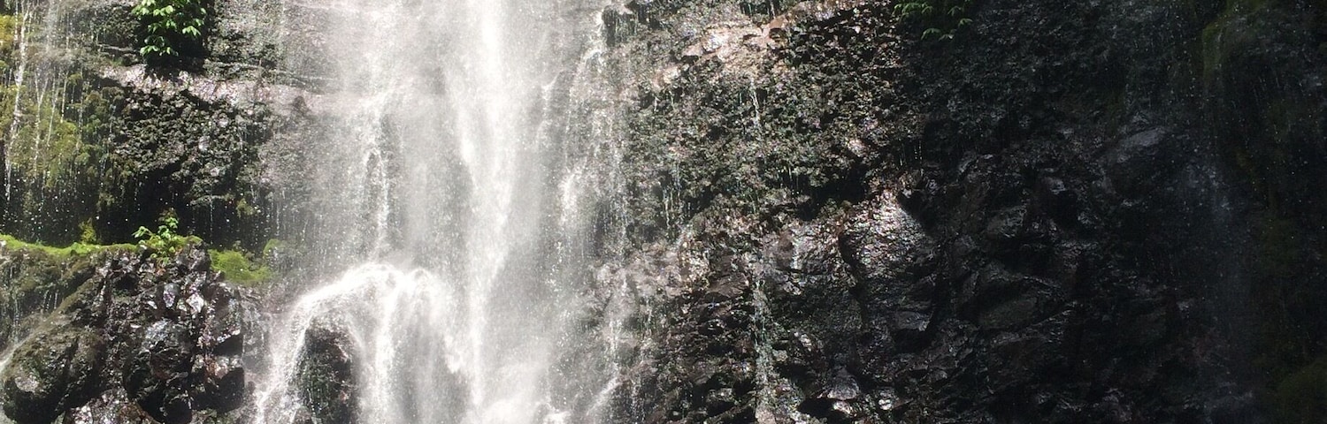 A waterfall cascading down a rocky cliff surrounded by lush greenery.