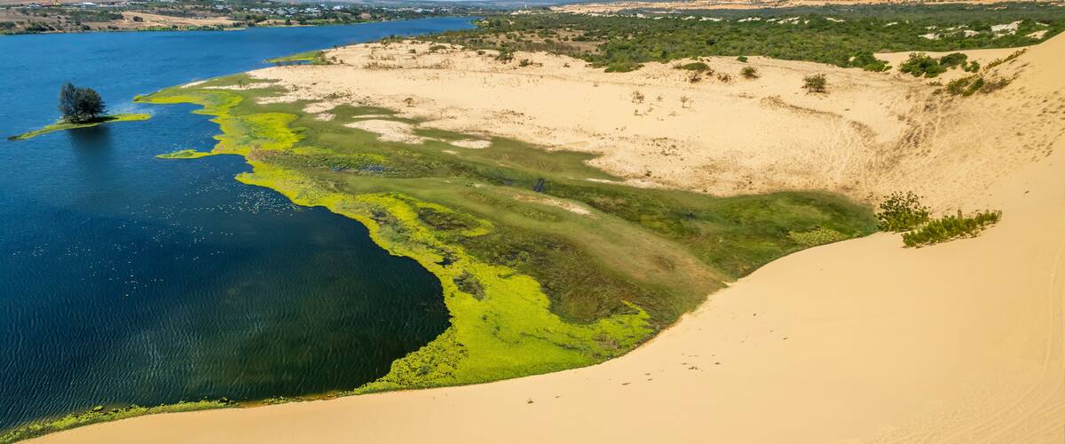 Un paysage cĂŽtier avec une plage de sable, une petite Ăźle avec un arbre et une vaste Ă©tendue dâeau.