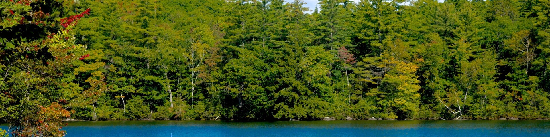 Stoneham showing a lake or waterhole, boating and forests