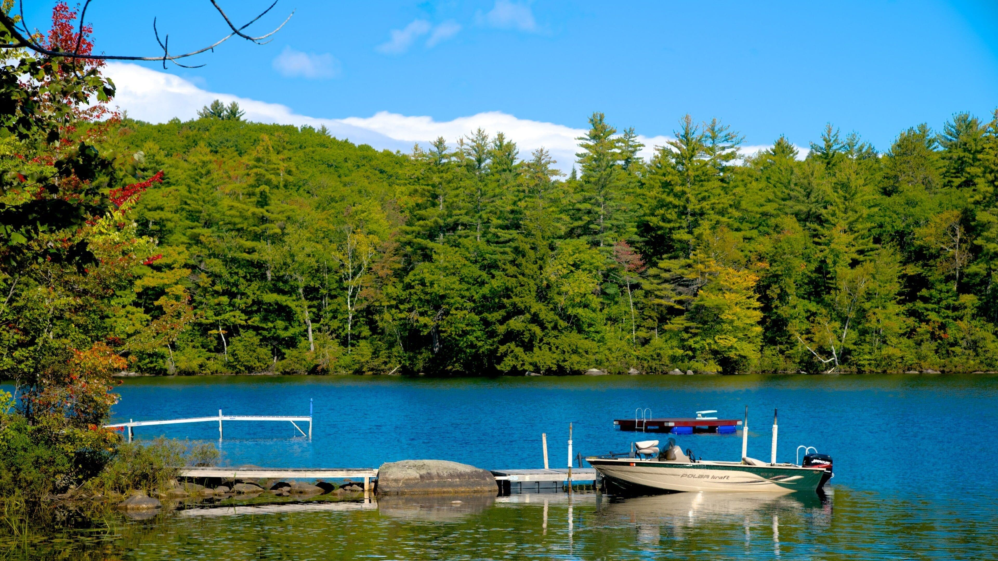 A lake surrounded by dense forest, a dock with a boat, and a clear blue sky.