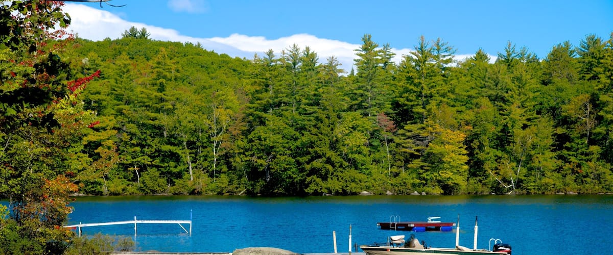 A lake surrounded by dense forest, a dock with a boat, and a clear blue sky.