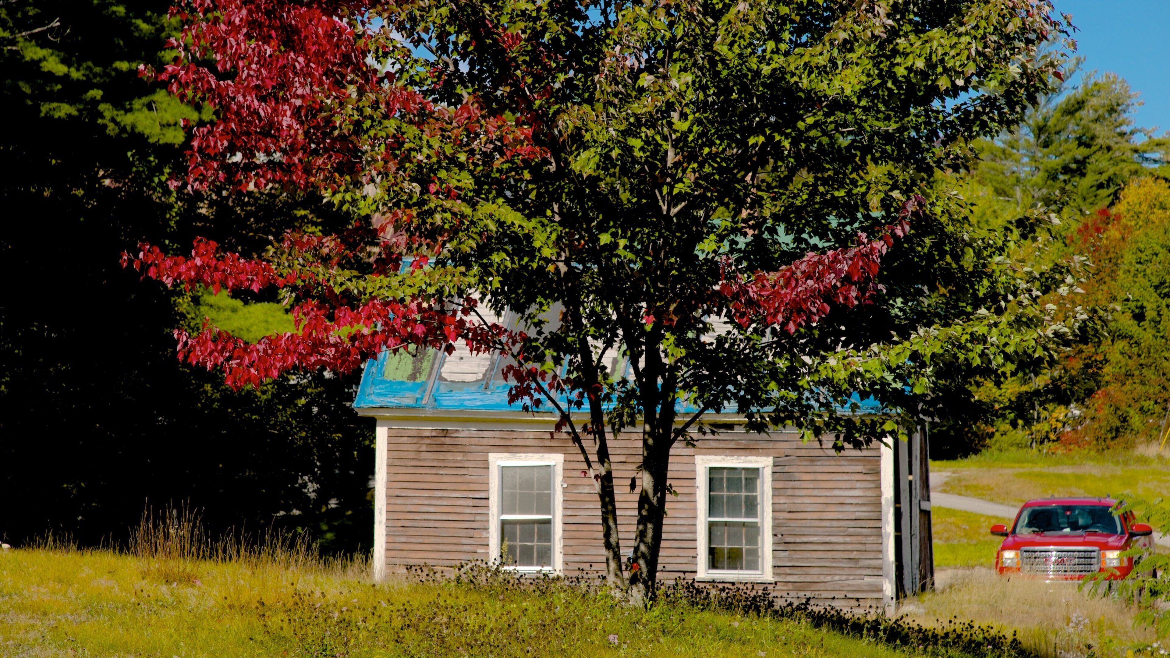 Stoneham featuring tranquil scenes and a house