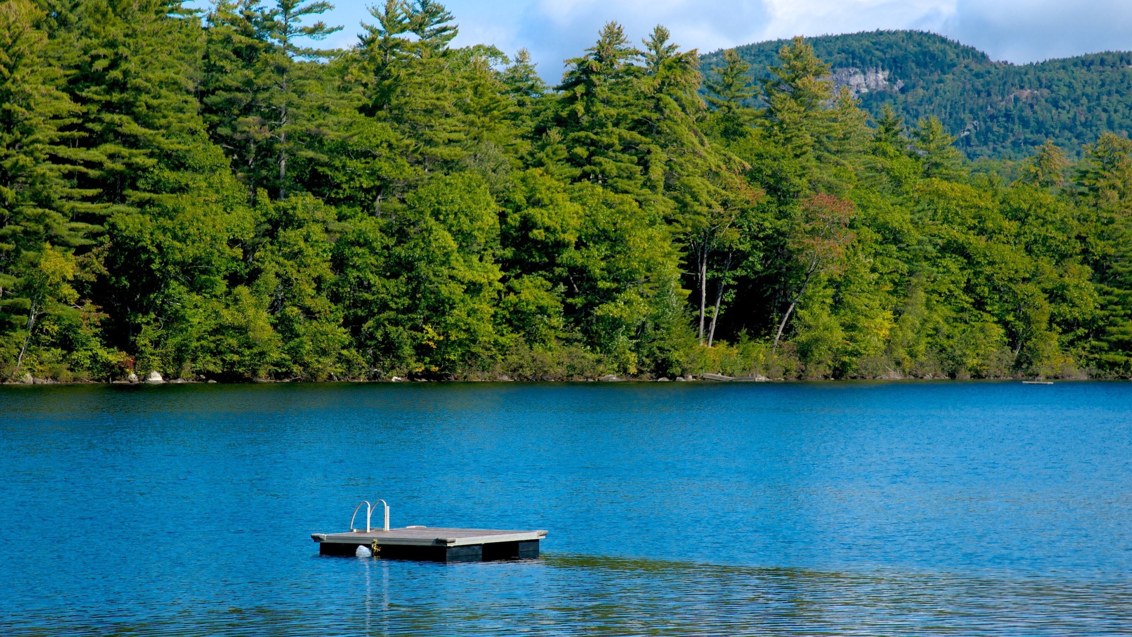 史東罕 其中包括 湖泊或水坑 和 森林景觀