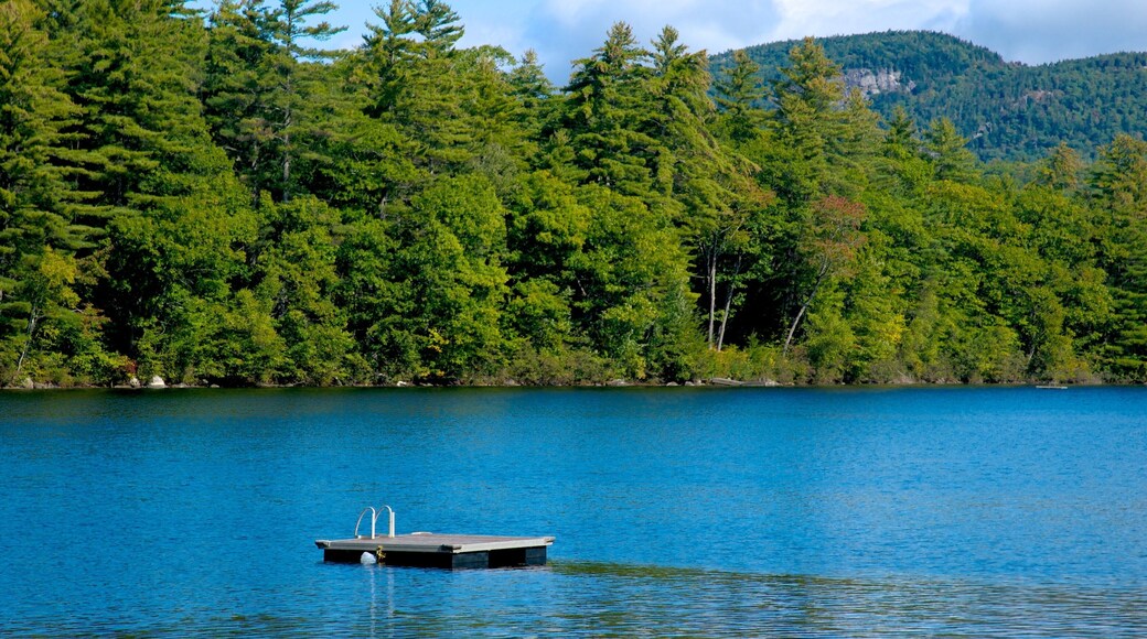 Stoneham which includes a lake or waterhole and forest scenes