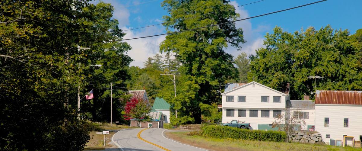A rural road curving through a wooded area with houses and a clear sky.