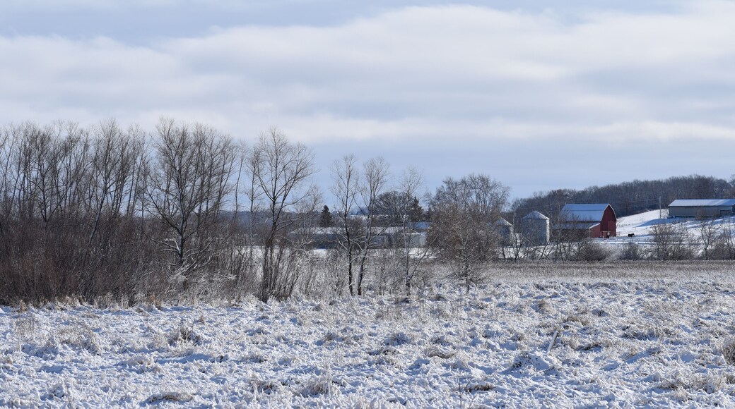 Wisconsin farm in winter