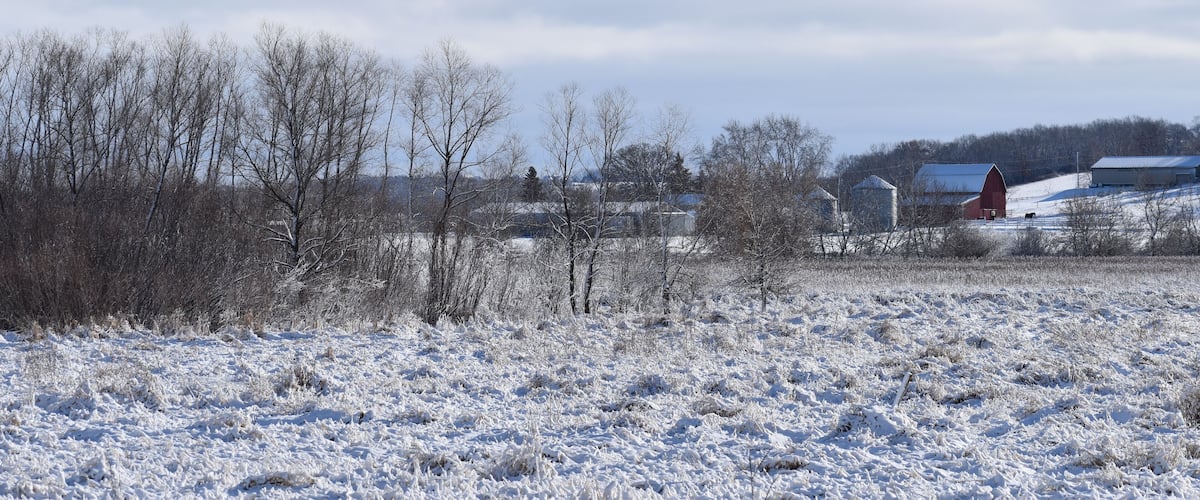 A snow-covered field with leafless trees and a red barn in the background.