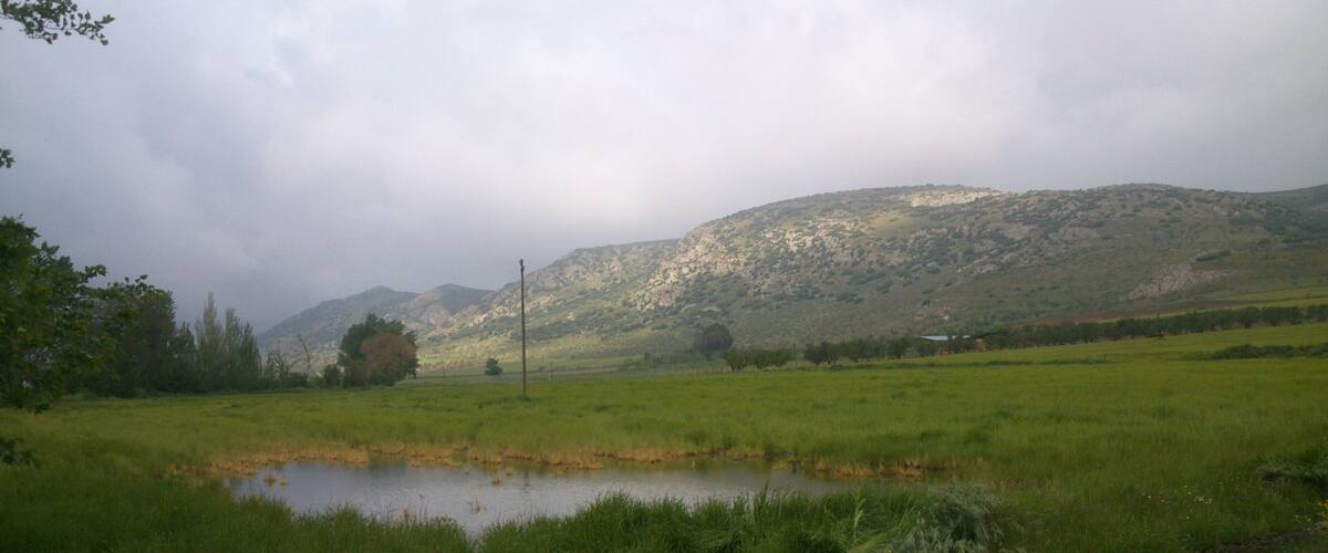 A grassy field with a small pond and a mountain in the background.