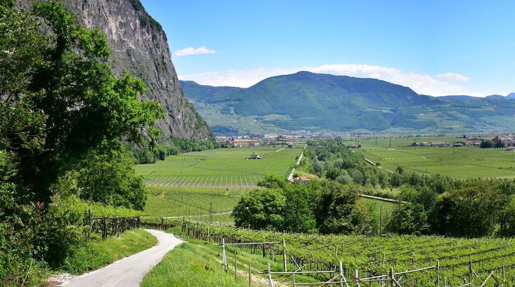 Panoramica della Piana Rotaliana