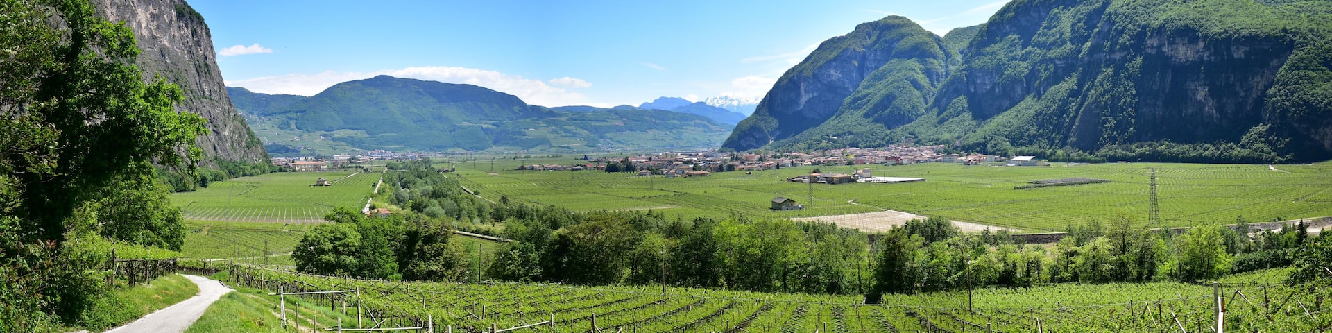 Panoramica della Piana Rotaliana
