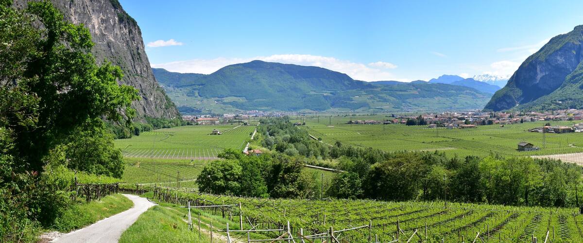 A valley with vineyards, a road, and a town surrounded by mountains.