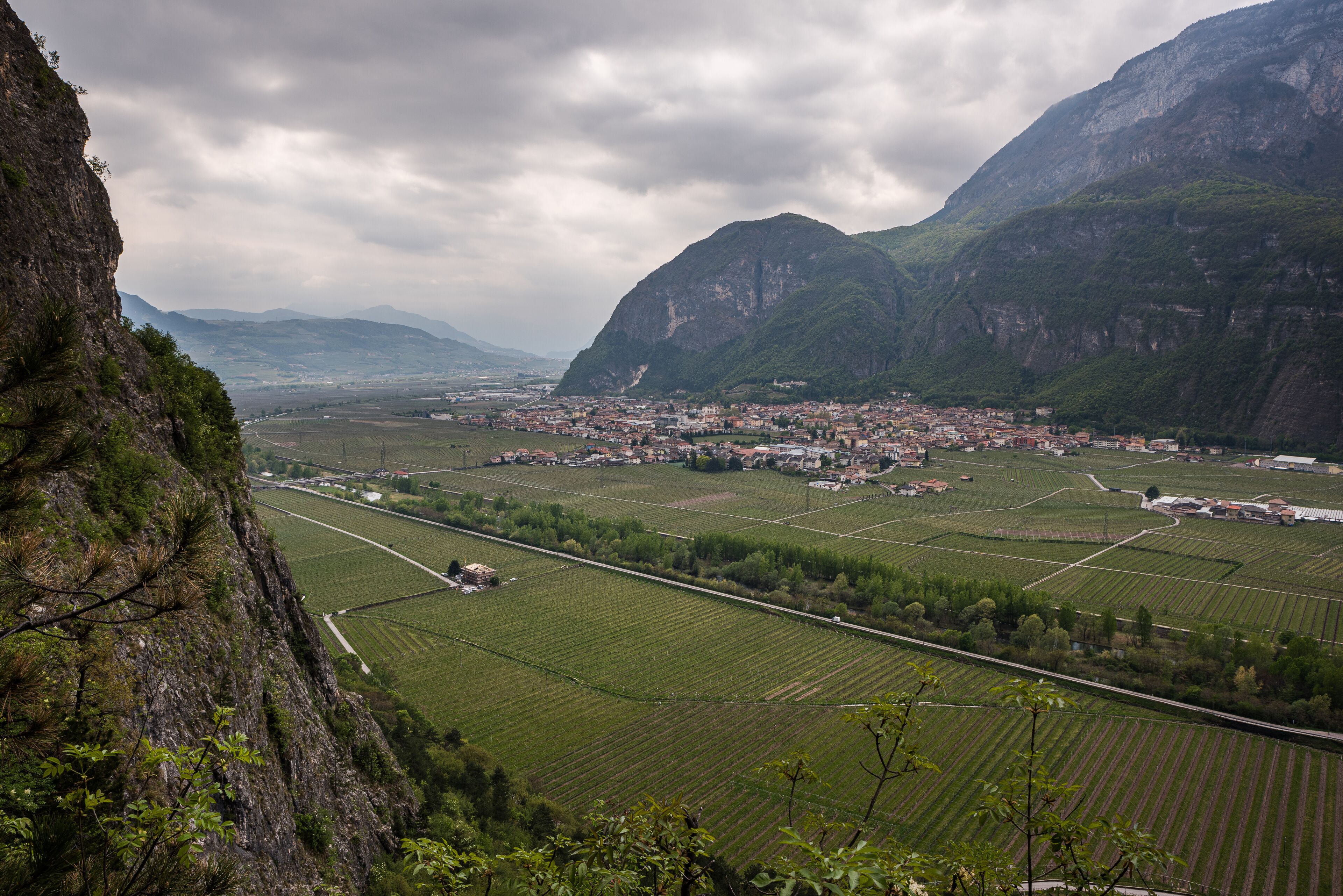 Mezzolombardo and its surrounding vineyards in Trentino, Italy, viewed from the Via Ferrata Burrone Giovanelli on a cloudy spring day.