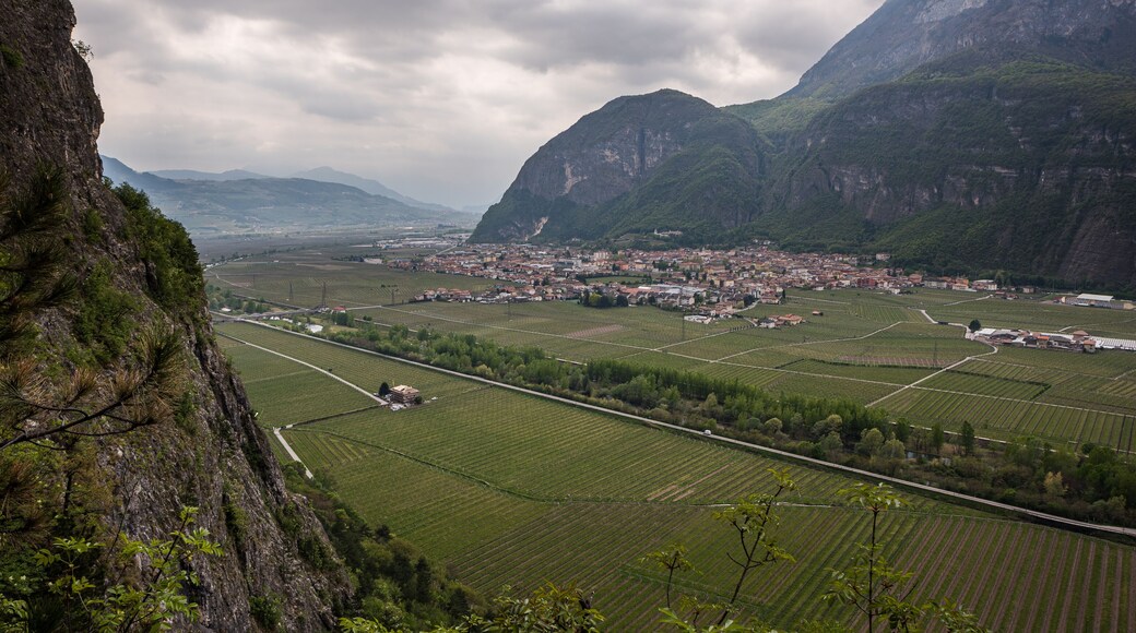 Mezzolombardo and its surrounding vineyards in Trentino, Italy, viewed from the Via Ferrata Burrone Giovanelli on a cloudy spring day.