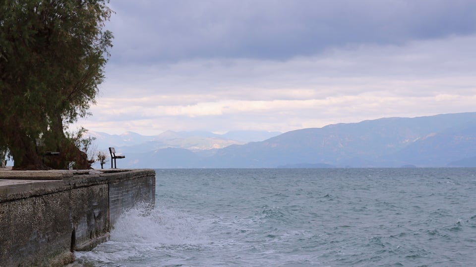 A waterfront with a bench, a tree, and mountains in the background.