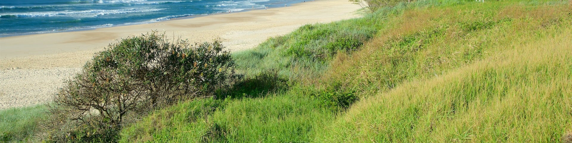 A beach with waves, greenery, and a wooden fence.