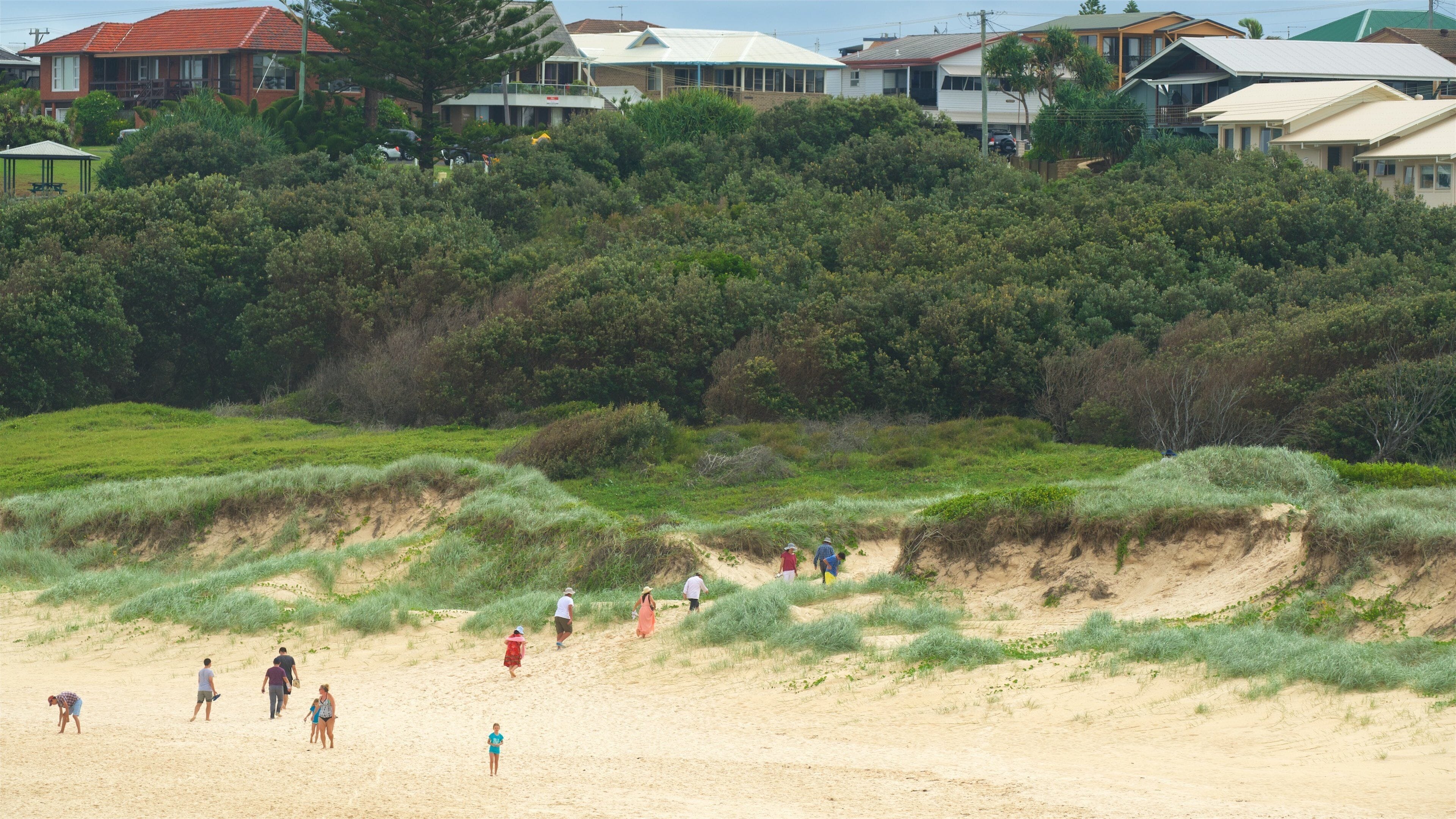 Pippi Beach featuring a beach