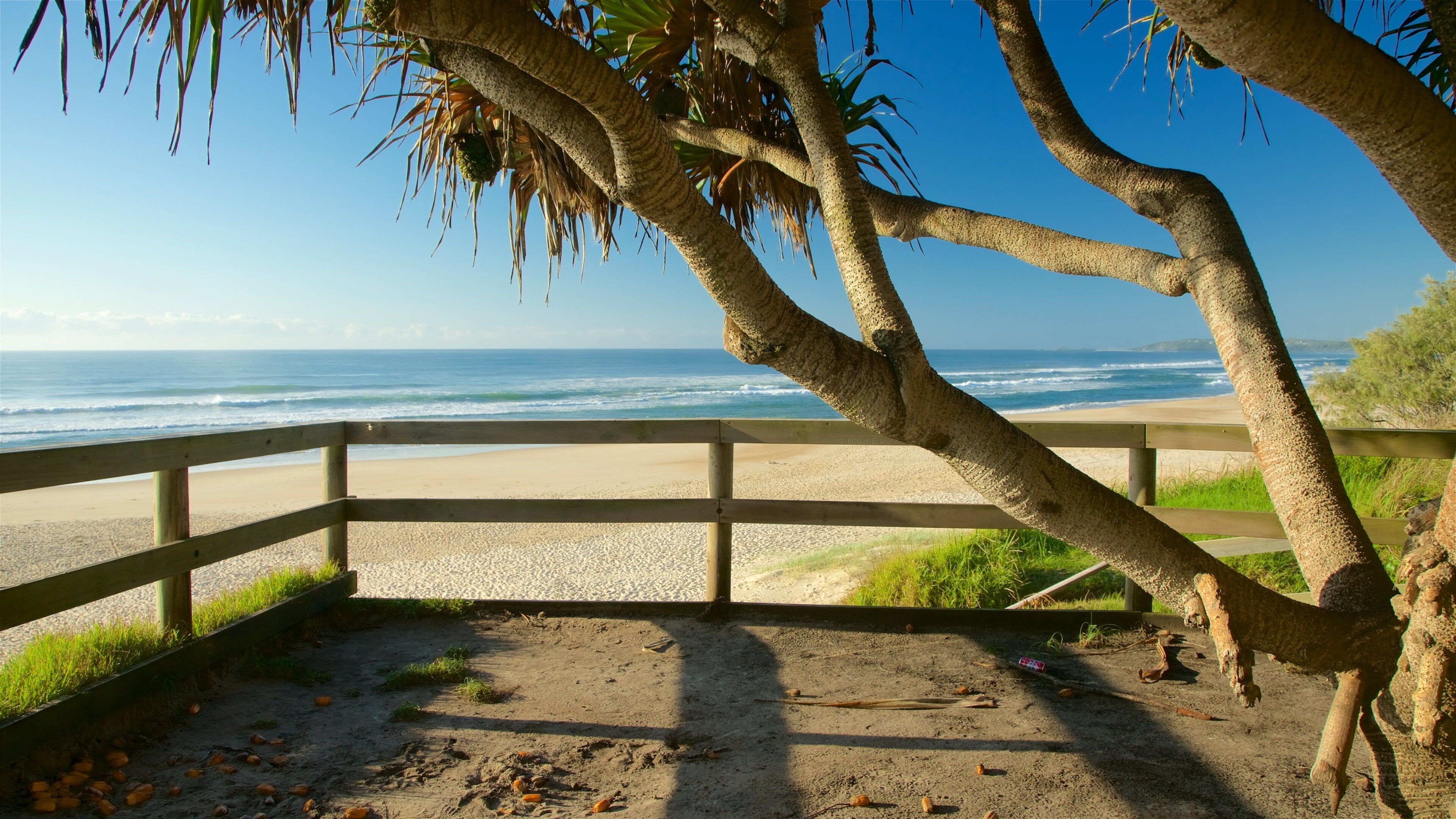 Pippi Beach showing a sandy beach