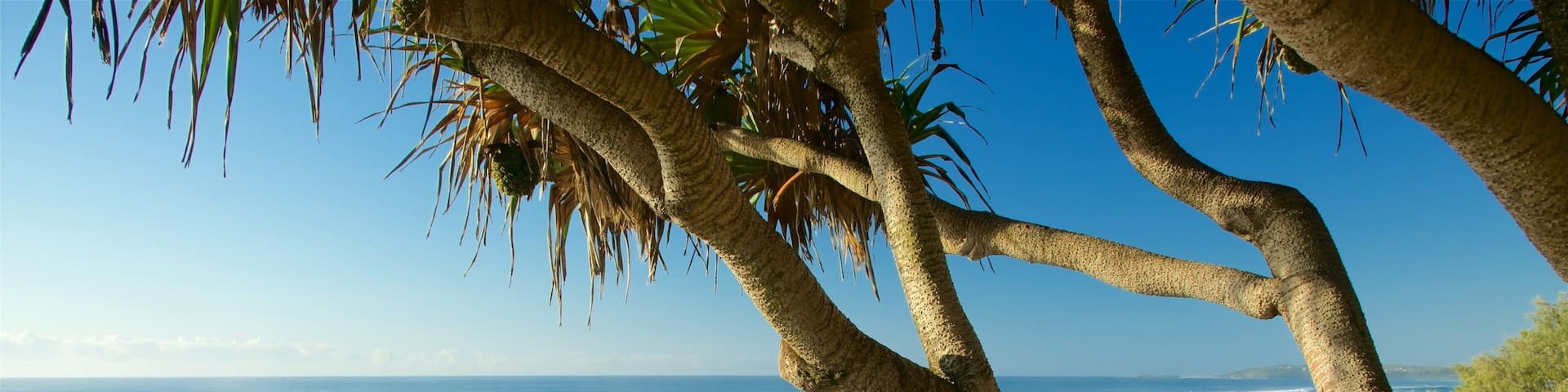 Pippi Beach showing a sandy beach