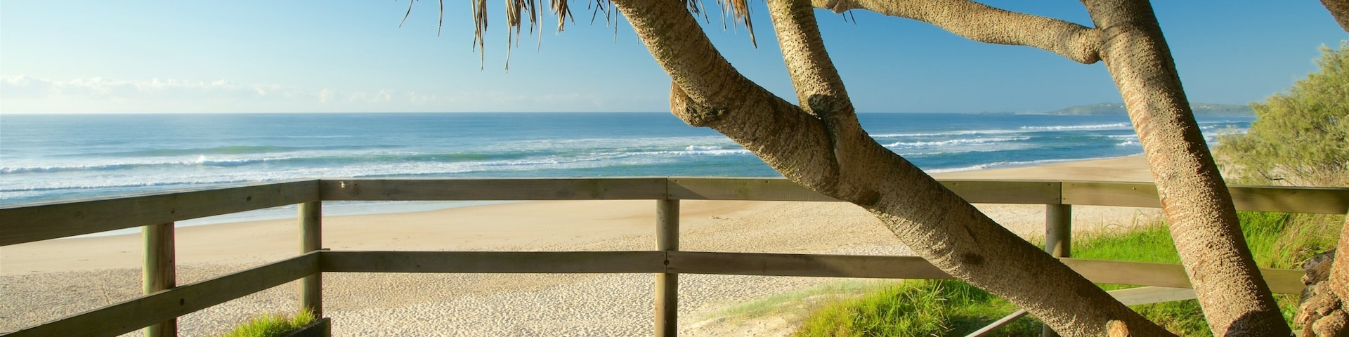 Pippi Beach featuring a beach