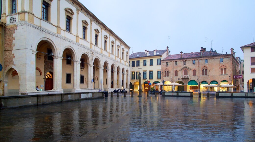 Piazza del Duomo which includes a square or plaza, heritage elements and a city