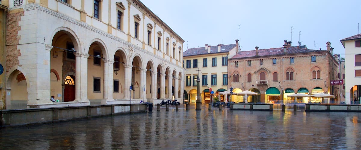 Piazza del Duomo showing a square or plaza, a city and heritage elements