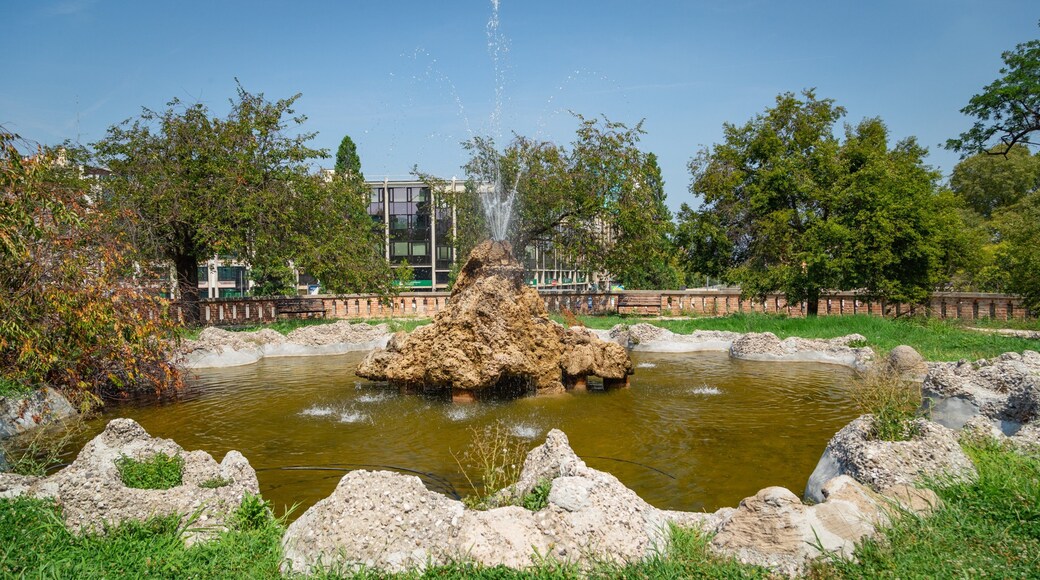 Giardini dell\'Arena showing a fountain and a park