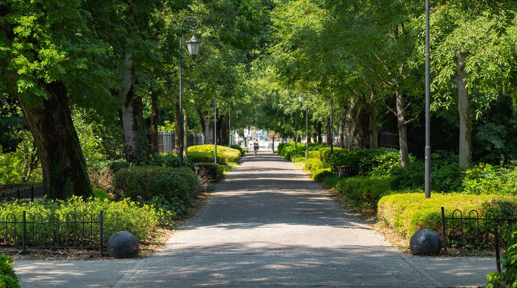 Giardini dell\'Arena featuring a park