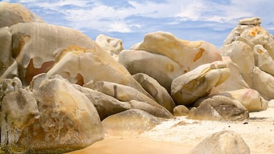 Praia Tien Thanh que inclui litoral rochoso