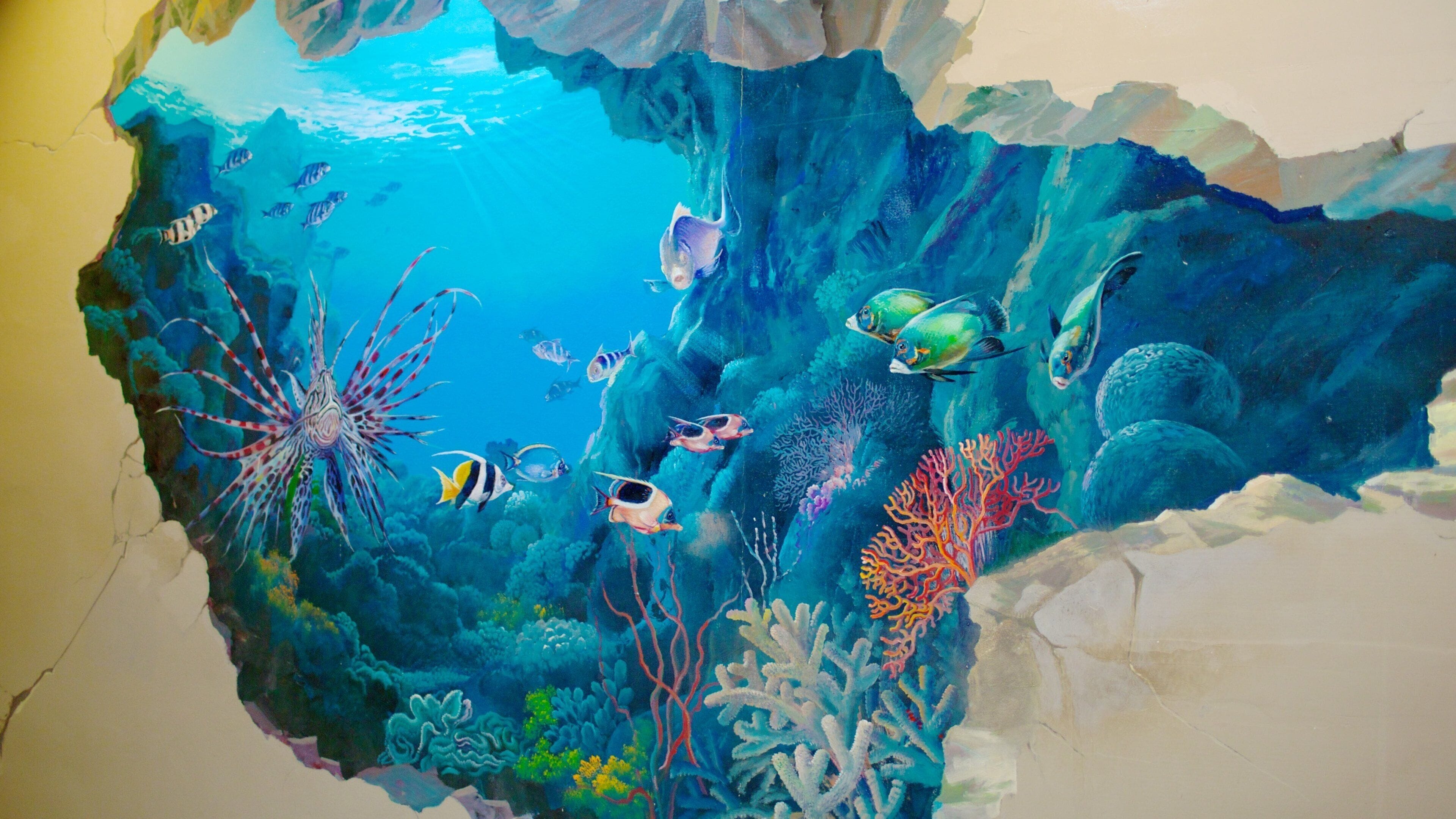 Art in Paradise showing art