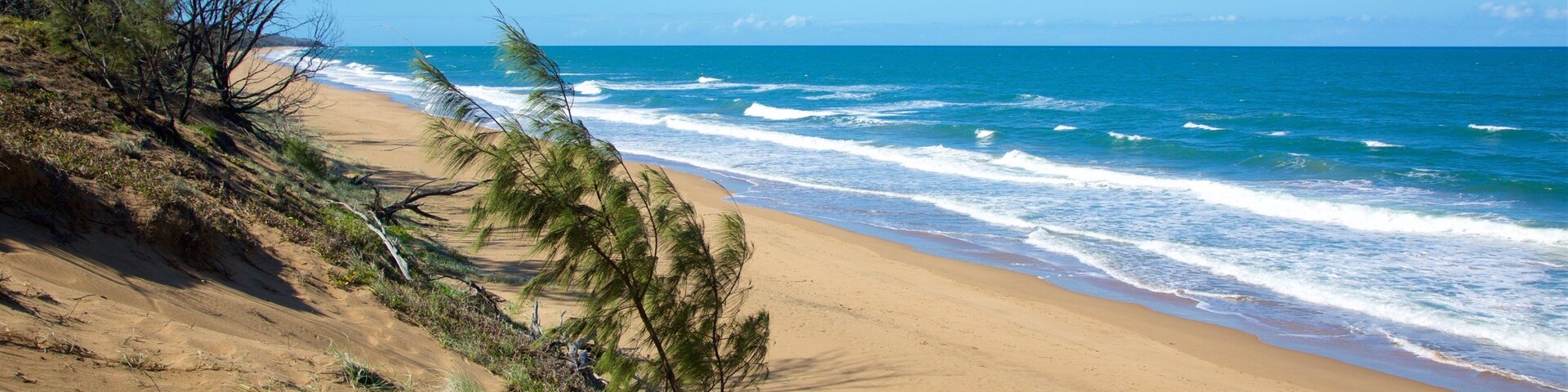 Agnes Water Beach mit einem allgemeine Küstenansicht, Wellen und Sandstrand
